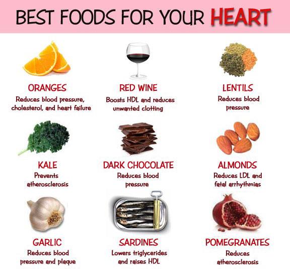 Best Food To Keep Nervous System Healthy Best Food To Keep Nervous System Healthy