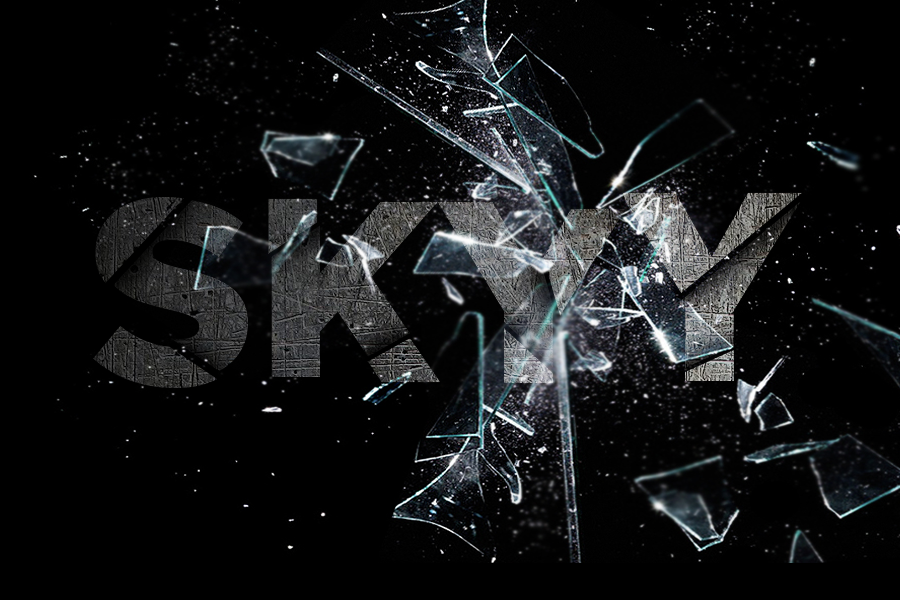 Skyy VsL tweet media