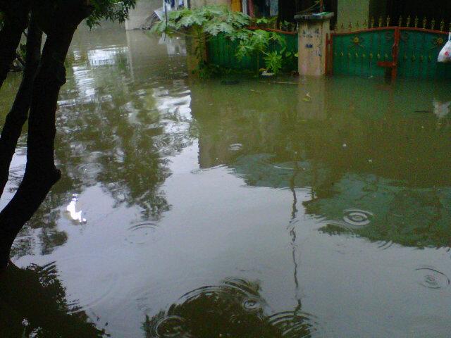 Ngambang tjuy☂
