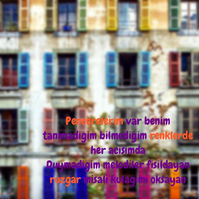 HandanOzbek's tweet image. 