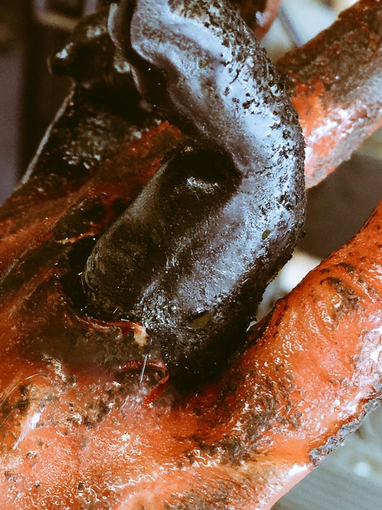 hellcrawler's tweet image. #prop hand I made for my #scifi #shortfilm