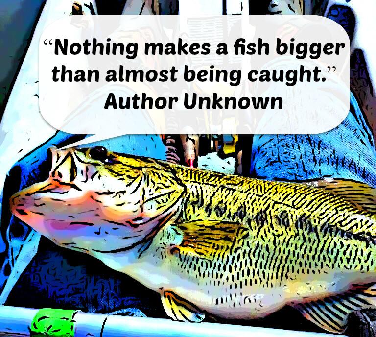 BassFishnTips's tweet photo. Seems even the bass know ;)

https://t.co/V3fzBy1sHn