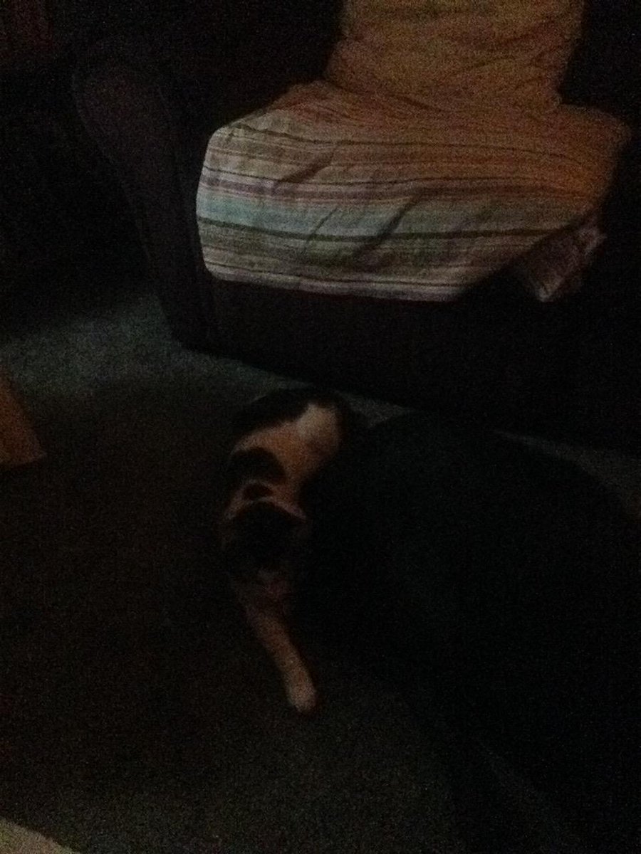 REAL_HackDaddy's tweet image. My cat sleep behind my dogs ass