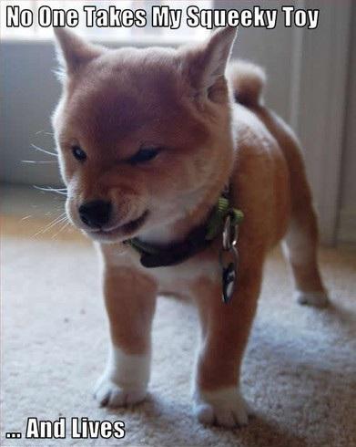 MeanwhileinCana's tweet photo. http://t.co/C7fSS0PFkS