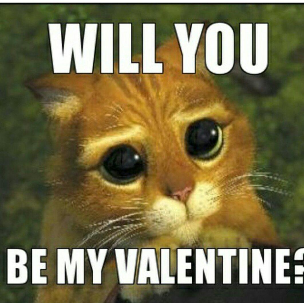 Indiana_stud's tweet image. 