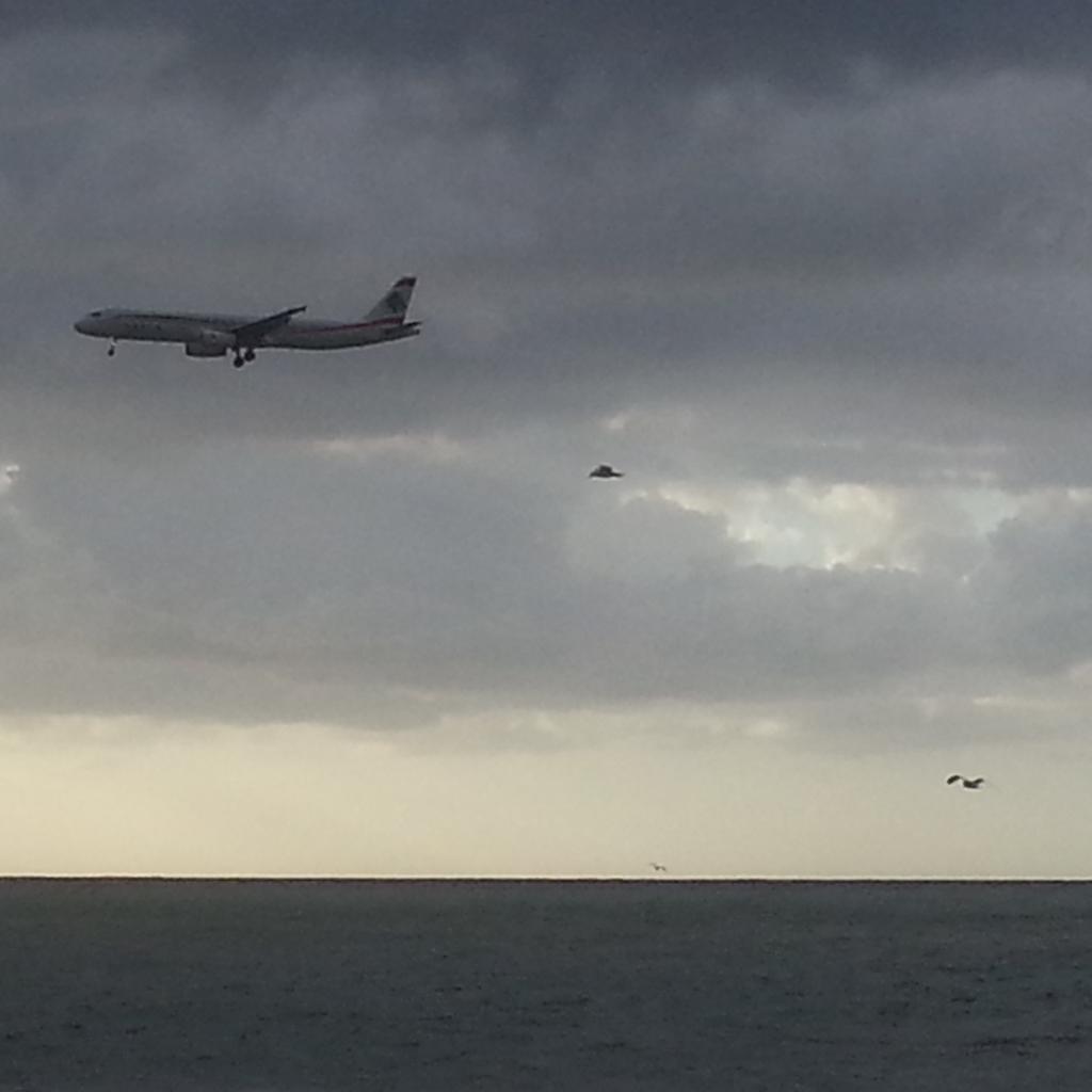 عوض ان استمتع بصوت ووجه وغنج البحر
اغوص كالقنفذ في شاشة الهاتف وأتقيء كآبة!
#شاعر_بحالو