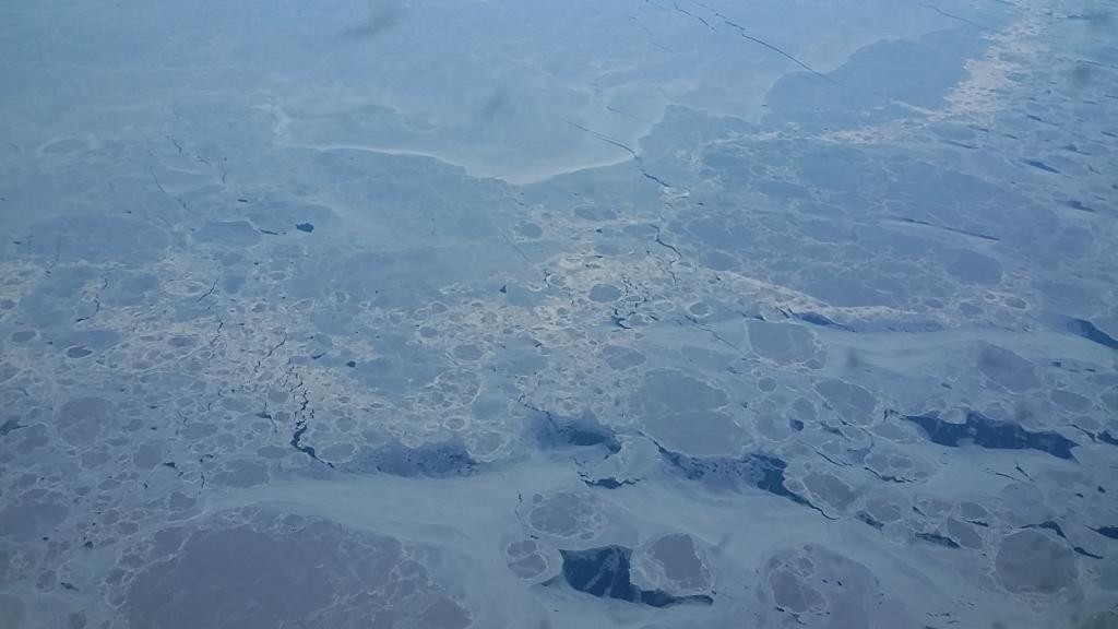 ImaginisDesign's tweet photo. Somewhere between america and asia http://t.co/IyyizGk8de