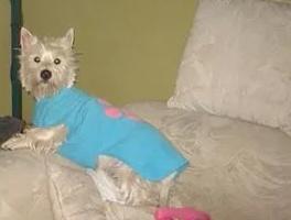 victorbermeoc's tweet photo. @Lourdes_MS linda es Luli. Yo te presento a mi Greysi. http://t.co/nPHYuMDnHV