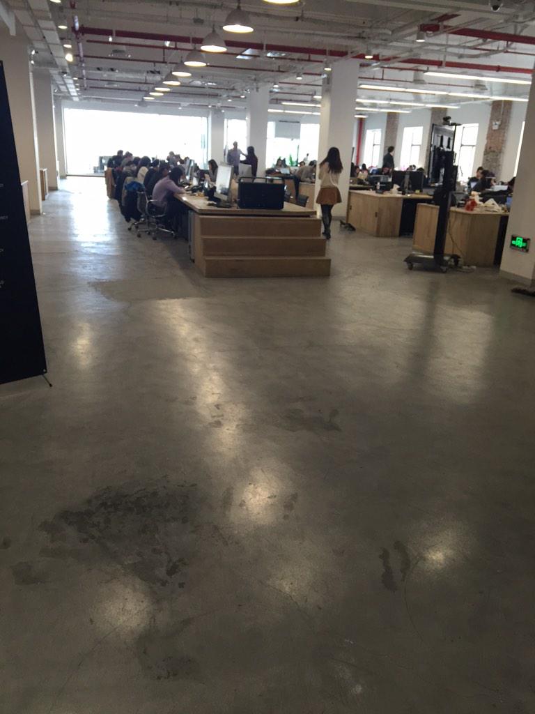 echo8624's tweet image. Yopi