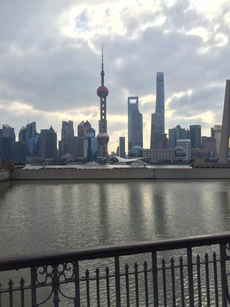 echo8624's tweet image. Yopi