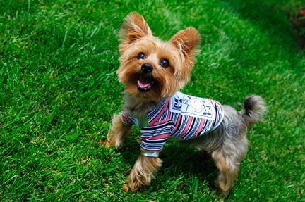 Bernard Abellada tweet media