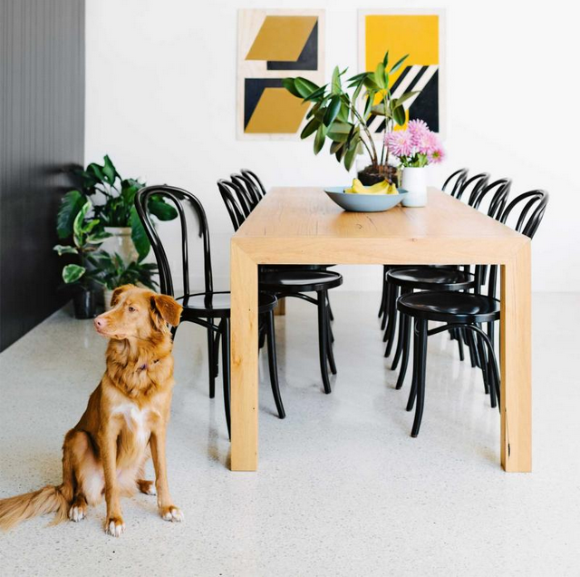 insideoutmag's tweet photo. 6 signs that you (might!) love your pet more than your partner! A not-so-serious Feb 14 list: http://t.co/BbEPlBiKQQ http://t.co/7ikrzXp9dg