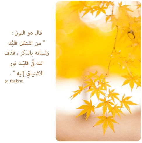 AFNAN532ll's tweet photo. http://t.co/CfSk2CFStJ