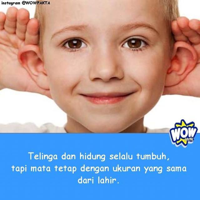 now on instagram #tahukahanda #wowfakta #fakta #faktanya #wow