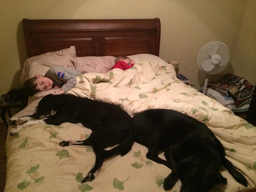TippetUnleashed's tweet photo. Cozy. http://t.co/vdGDGSK2yi