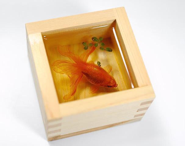 本物にしか見えない 樹脂に描く 金魚絵師 深堀隆介さんの作品が凄い Togetter