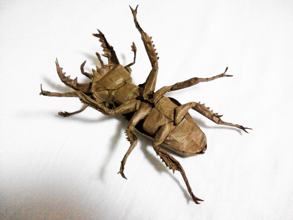 ꉂ☻紙モノおすそ分けꉂ☻ ペーパー20m ꉂ☻紙モノおすそ分けꉂ☻ ウクライナペーパー20m