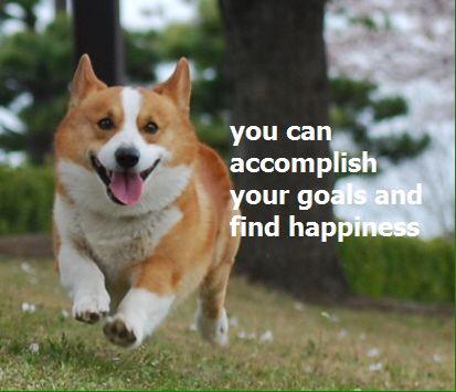 skywalker_swift's tweet image. PLS REMEMBER