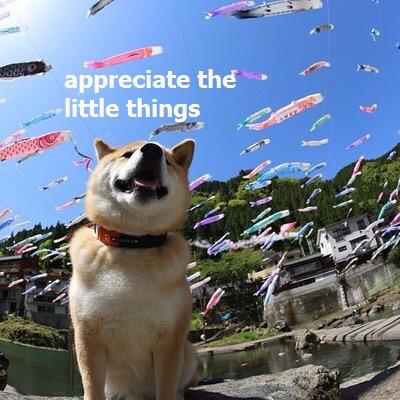 skywalker_swift's tweet image. PLS REMEMBER