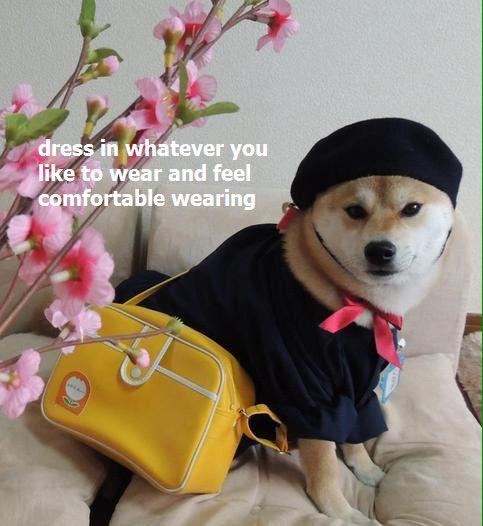 skywalker_swift's tweet image. PLS REMEMBER