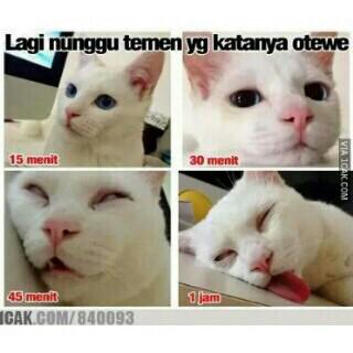 Nenk_Sotta's tweet photo. http://t.co/cMl5ba8zhC