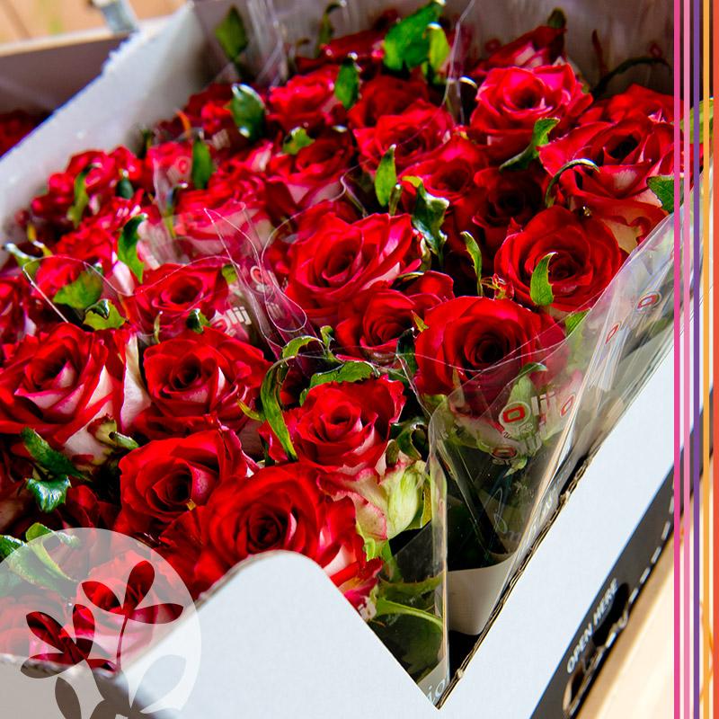 Bijna alle orders voor de Valentijn zijn de deur uit. We maken ons weer op voor de volgende bloemrijke feestdag...
