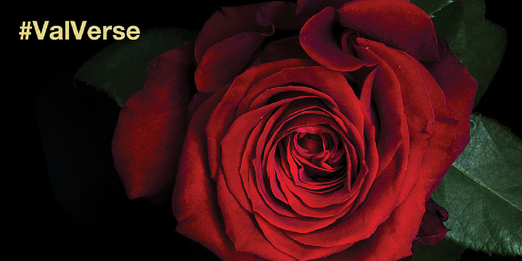 InterfloraUK's tweet photo. LAST CHANCE to #win an iPad Air 2! Tweet us your #ValVerse for a chance to win! http://t.co/v1N39ZOmFb http://t.co/P3YyikatNf