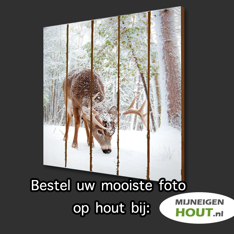Alleseigen tweet picture
