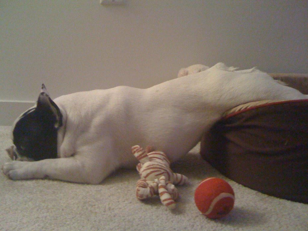 Embedded image permalink