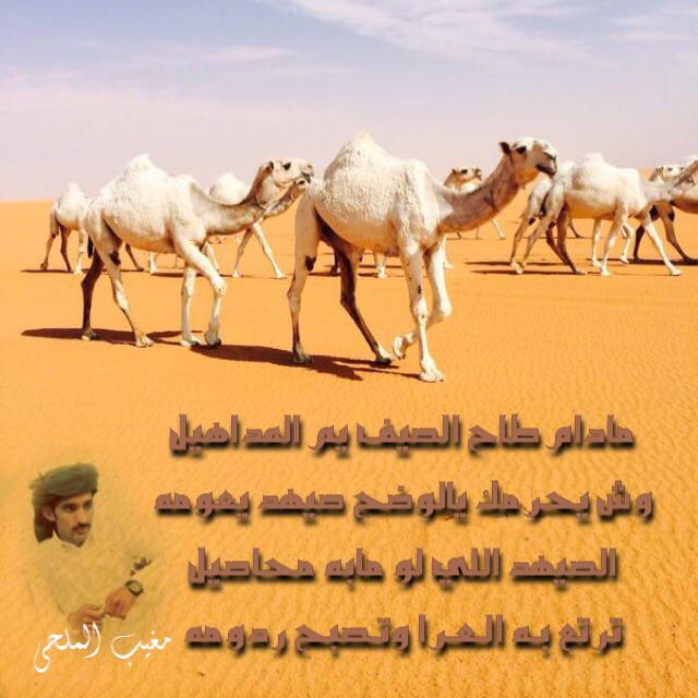 من كلمات اخوي / مغيب بن عون