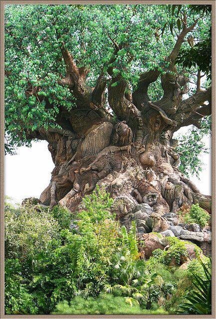 dharammegha's tweet photo. Standing in your own power allows you
to share more of who you are with others.
#Personality #PowerRoots #GiantPower http://t.co/xMwBLpeZub