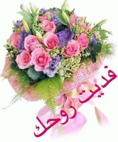 izhfah's tweet photo. @gabol00 http://t.co/LJJBpEN7Lm