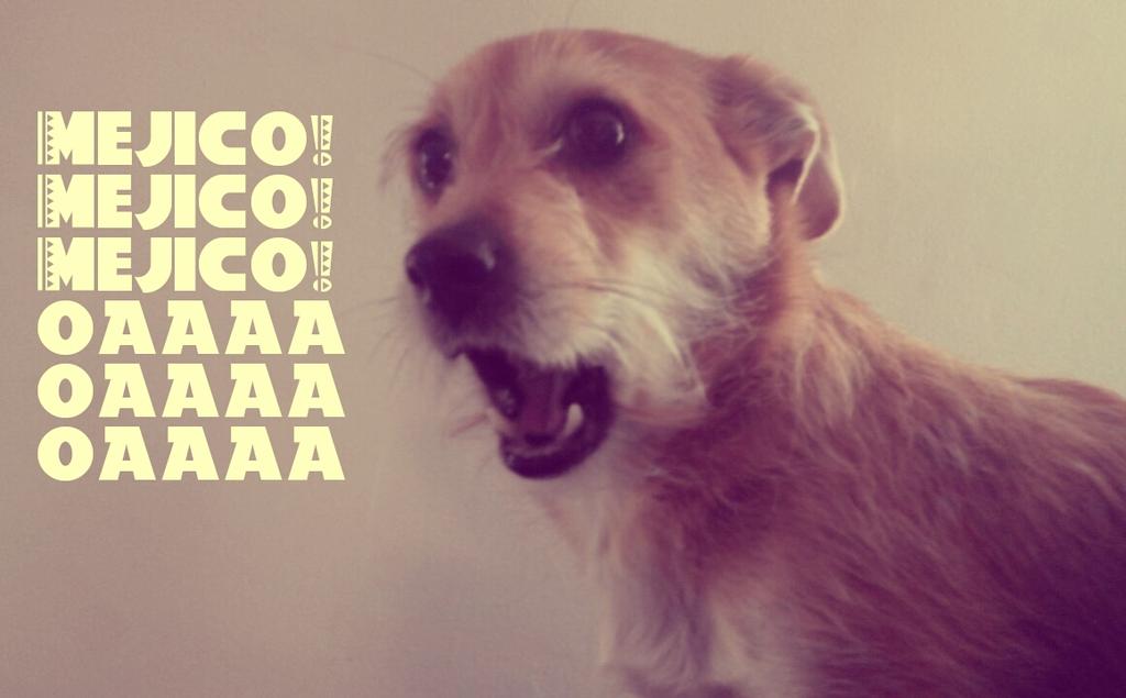 leoperrillo tweet picture