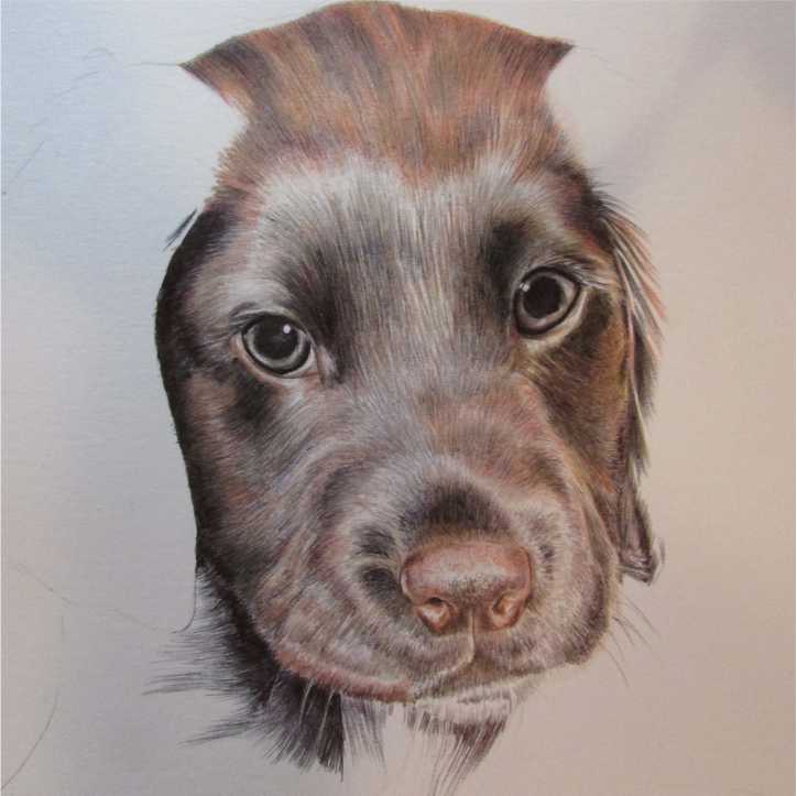 NikiFirmin's tweet image. @constablepolice  Police Pup Ted's portrait complete! Prints available soon! All proceeds 2 @RetiredWMP_Dog Pls RT!