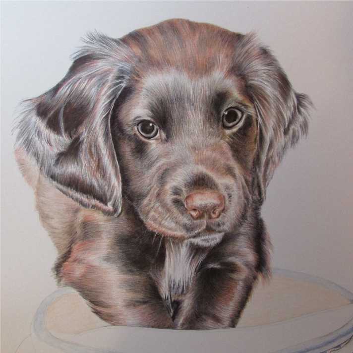 NikiFirmin's tweet image. @constablepolice  Police Pup Ted's portrait complete! Prints available soon! All proceeds 2 @RetiredWMP_Dog Pls RT!