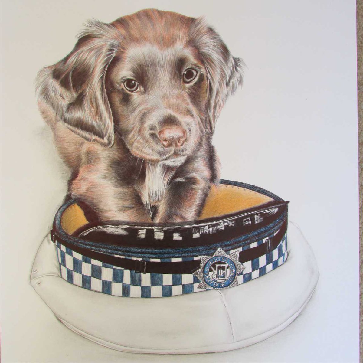 NikiFirmin's tweet image. @constablepolice  Police Pup Ted's portrait complete! Prints available soon! All proceeds 2 @RetiredWMP_Dog Pls RT!