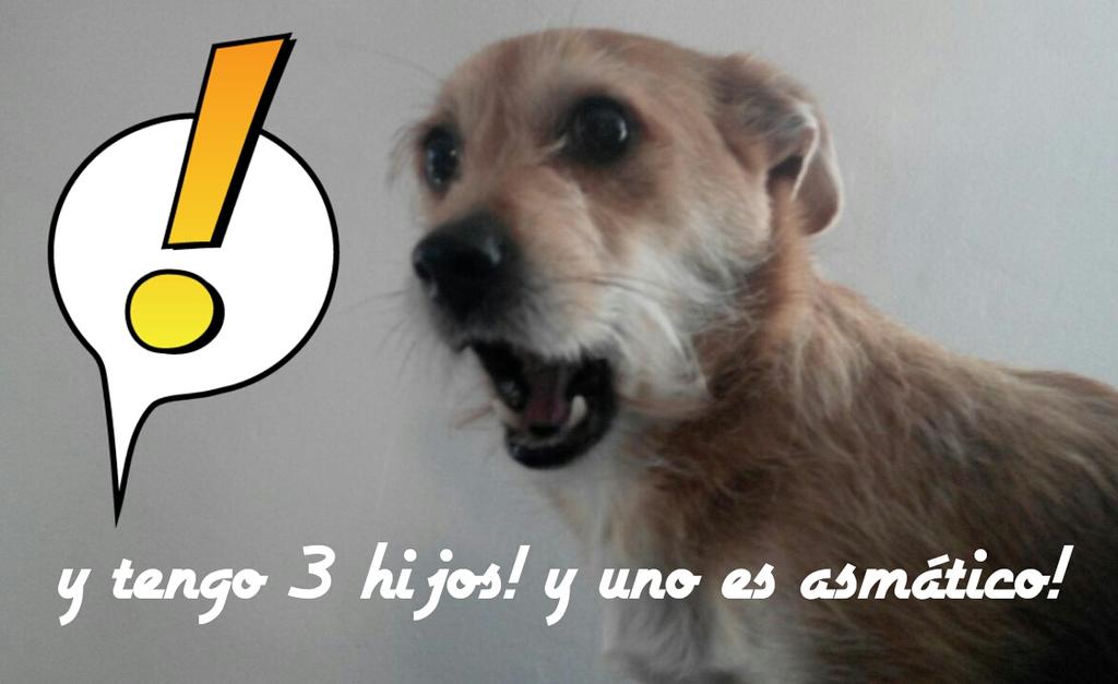 leoperrillo tweet picture