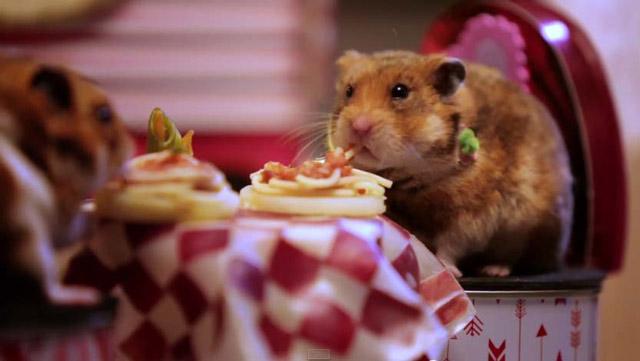 Nagyon cuki, és nagyon nem normális: itt a Valentin-napi hörcsögrandi! bit.ly/1uzhMMM