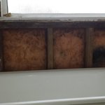 Photo by Property Maintenance (@NDpropertyM)