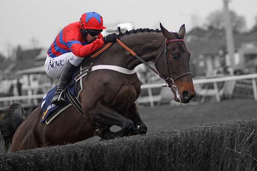 racecaller's tweet photo. #DailyTalkingPoint

Who do you fancy for an open Queen Mother CC? 
(#RaceCaller Trends Below)

http://t.co/mBGYuYCJSj http://t.co/iBzFsDDKxT