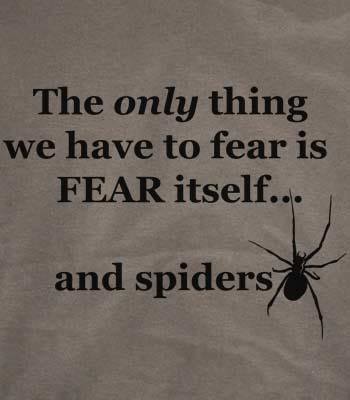 upestindia's tweet photo. Getting annoyed of spiders?
Be with Unique Pest Management &amp; Smash Spiders.. http://t.co/hRNPY0KblW