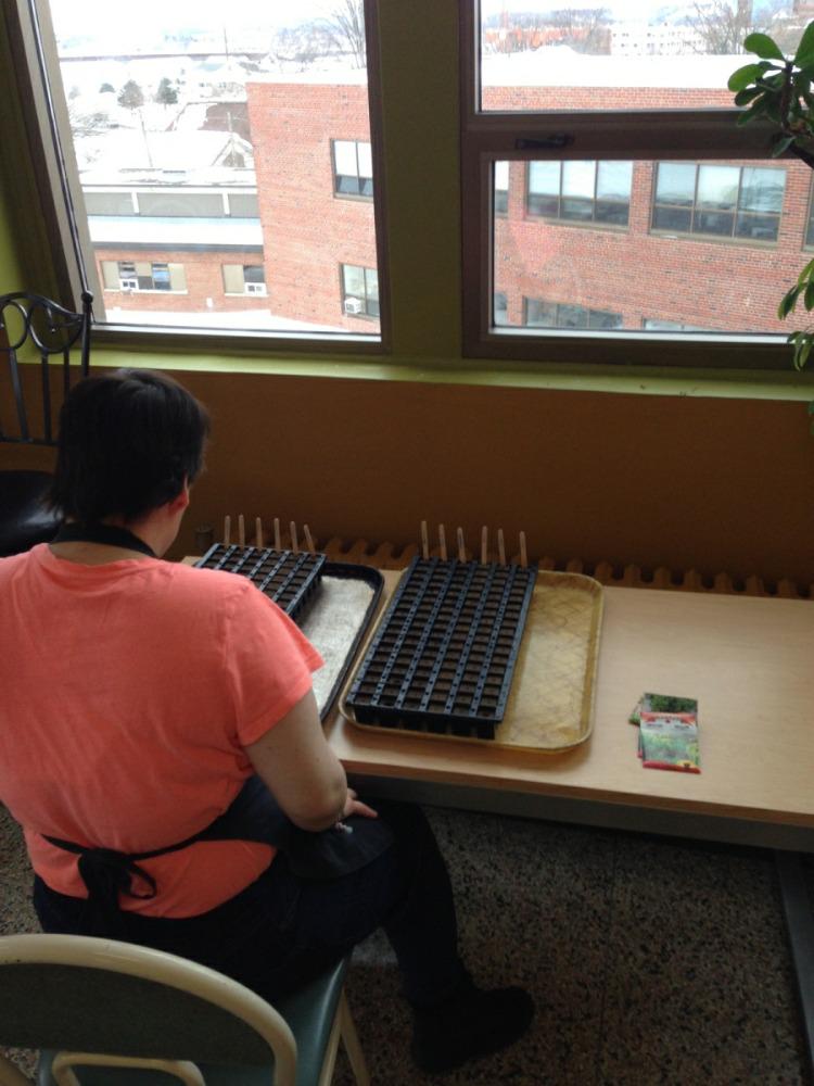 Seeds planted. Now we wait.