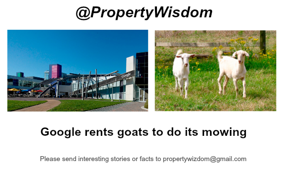 Don't show your wife... She'll want one