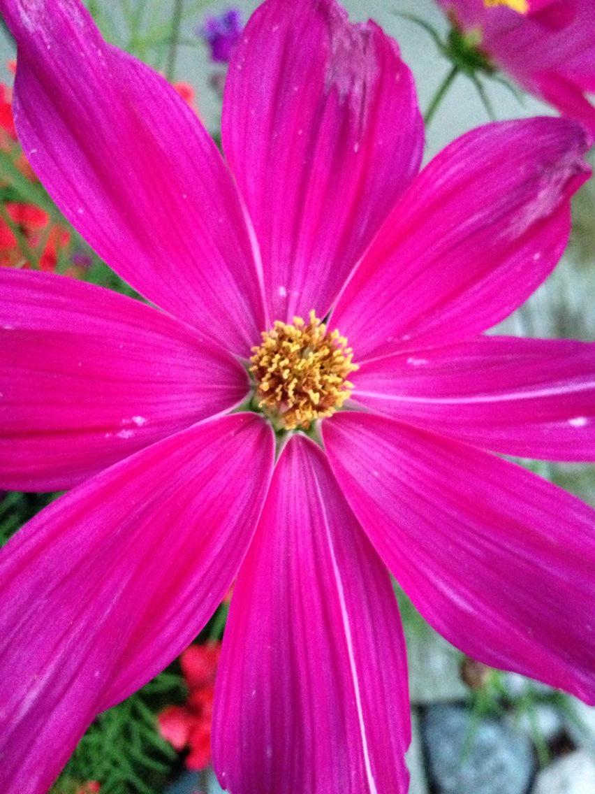 abc_thrive's tweet image. Getting my heart prepared for #Hearts Alive @adabible by listening to Oceans, reading Psalm 119. The #chair centers.