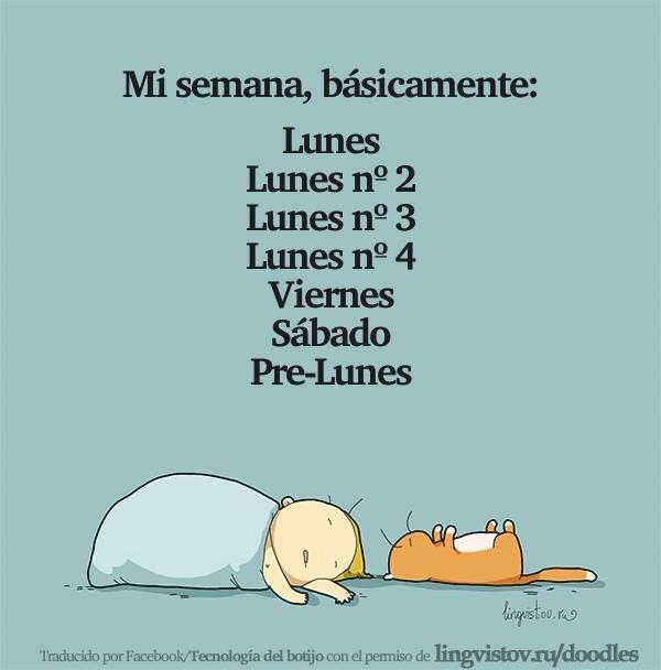 AREA5PUBLICIDAD's tweet photo. ¡Feliz lunes No. 2 para todos! http://t.co/XvN6mipwCE