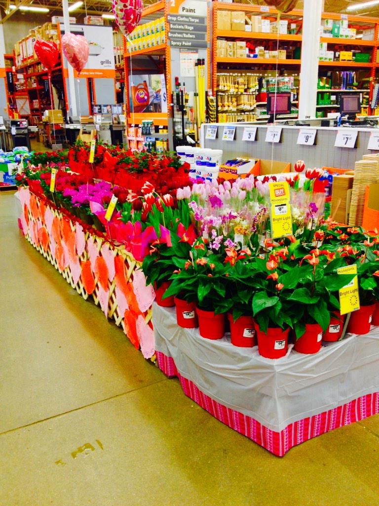 2301 HD ready for Valentines Day! <a href="/Millaya/">Jeremy Millay</a> <a href="/Jaydeckard/">Jay Deckard</a> <a href="/McCormickKerrie/">Kerrie McCormick</a> <a href="/VWIGreenhouse/">VanWingerden 🌱</a>