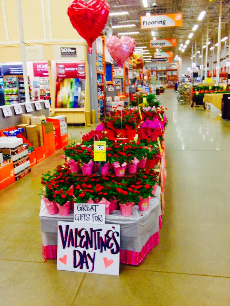 VWILouisvilleKy's tweet photo. 2301 HD ready for Valentines Day! @Millaya @Jaydeckard @McCormickKerrie @VWIGreenhouse http://t.co/vXgdC69Z8f