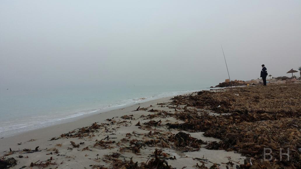 Visit Djerba tweet media