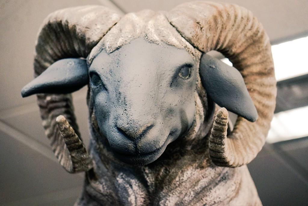 HIDEO_KOJIMA_EN's tweet image. Sheep.
http://t.co/25yPrPPMig”