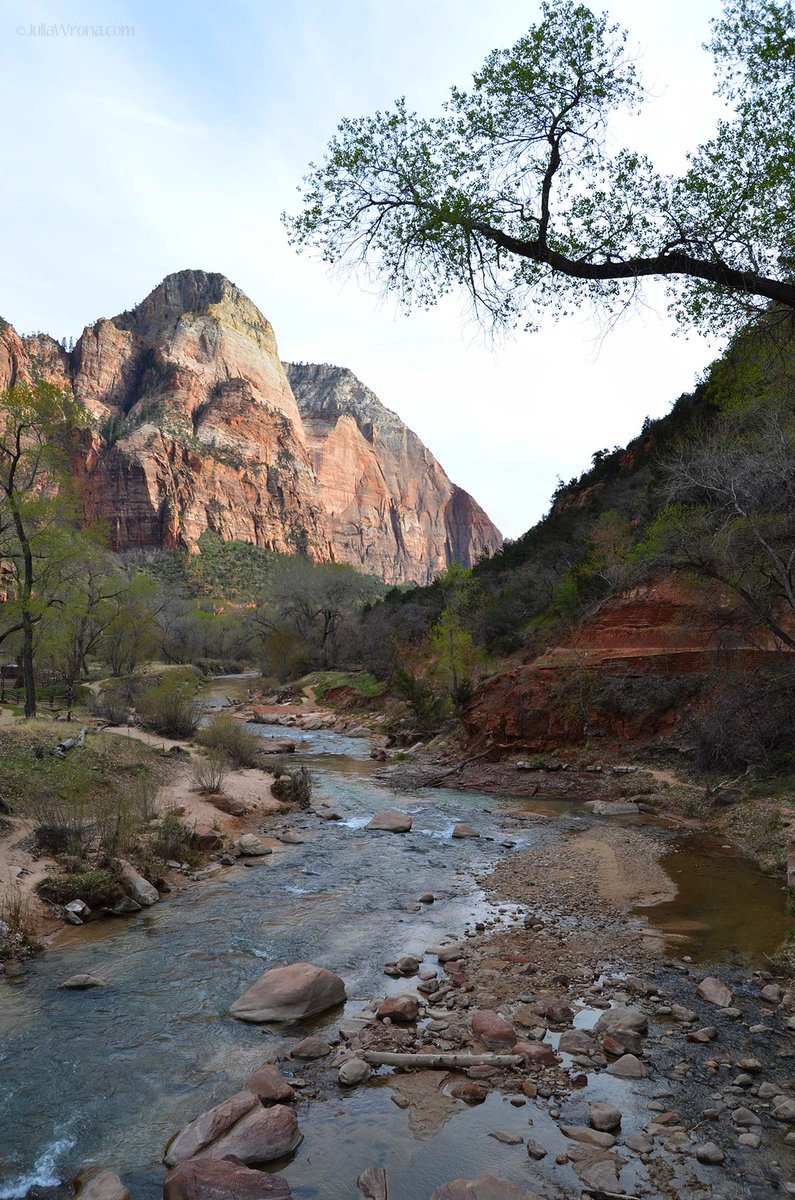 IntoOurElement's tweet image. Hiking among the peaks &amp;amp; canyons of #ZionNP intoourelement.com/zion-national-… #TravelTuesday #nps #travel #NationalPark